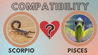 Scorpio and Pisces Compatibility An Emotional Rollercoaster