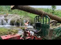 Download Lagu agricultural vehicles transporting wood most dangerous tree growing next to house