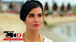ايهم البشتاوي وينكم وين اراضيكم دندنها
