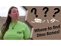 How to Find Dinosaur Bones