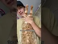 The Best Ways to Stretch Your Cat