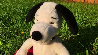 Snoopy My Doghouse My Dog Dish And Me 