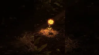 ااا الا بغا عشقك حرب Raimusic اشتراك اكسبلور Rai موسيقى 