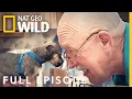 The Incredible Dr Pol Jingle Pols Full Episode The Incredible Dr Pol