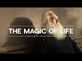 The Unseen Magic Discovering Miracles in Your Everyday Life