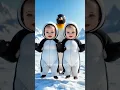Download Lagu Cute Baby Dudi Dudi Dam Dam Dance 👶🐧 #youtubeshorts #shorts #cutebaby #cute #baby #dudidudidamdam