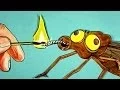 Download Lagu Tortures for Flies: 4th of July