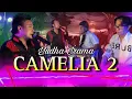 Download Lagu CAMELIA 2 - YUDHA IRAMA LIVE AT RM SRI KEDATON MOJOAGUNG JOMBANG