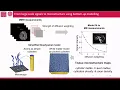 Advancing Microstructure Imaging via Diffusion MRI Marco Palombo DIPY Workshop 2025