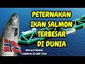 Download Lagu PETERNAKAN IKAN SALMON TERBESAR DI DUNIA | HAVFARM - NORWEGIA