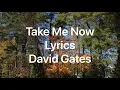 Download Lagu Take Me Now -Lyrics- David Gates