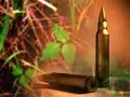Man Who Died While Deer Hunting In Aitkin County Identified