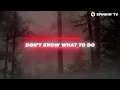 Alok - Love Again (feat. Alida) [Official Lyric Video]