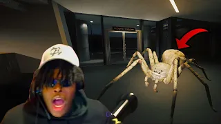 THE GIANT HUNTSMAN SPIDER IS BACK AND ITS HORRIFYING HUNTSMAN 