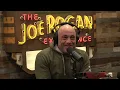 Joe Rogan Experience #2443 - Filippo Biondi