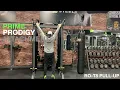 PRIME Prodigy Attachments - RO-T8 Pull-Up