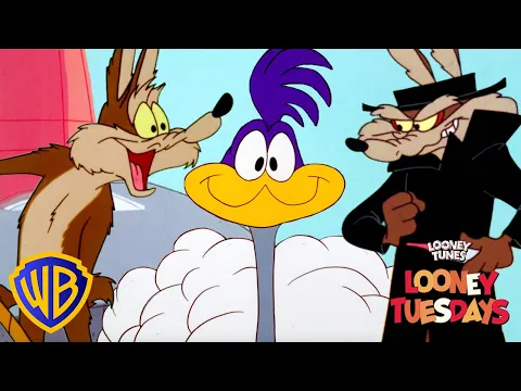 Download MP3 Looney Tuesdays | How NOT To Capture The Roadrunner | WB Kids