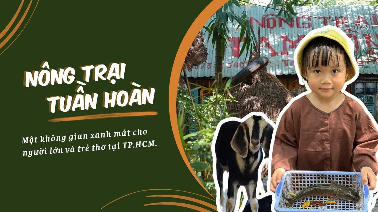 Outline Video Chủ nông trại TP.HCM làm du lịch tuần hoàn, tự làm vườn nông sản xanh mướt