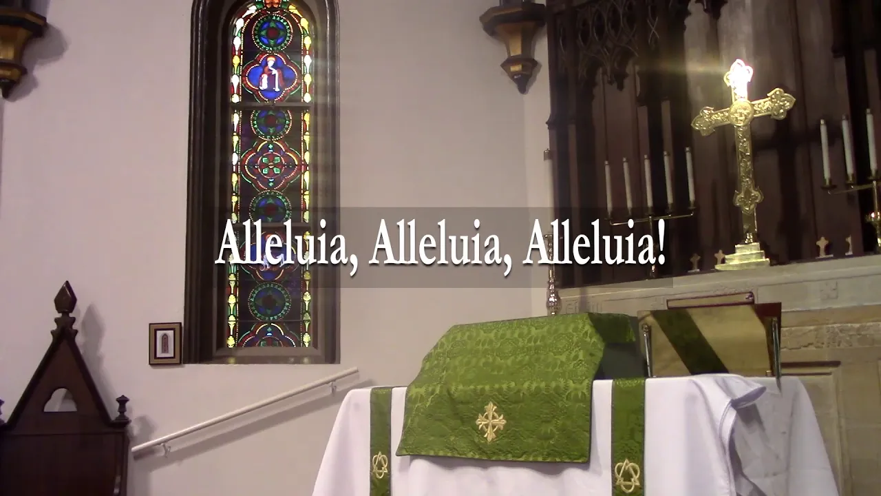Hymn 208  Alleluia, Alleluia, Alleluia