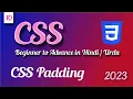 CSS Padding CSS tutorial in Hindi Urdu