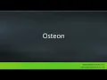 Pronunciation of the word s Osteon
