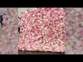 Popular flower walls and where to buy