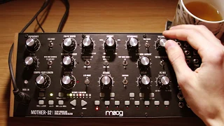 C418 Moog City Cover On A Moog 