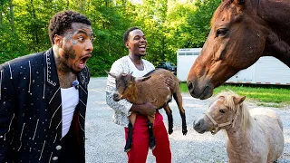 I Took The Hood Farming: Culture Swap Episode 4