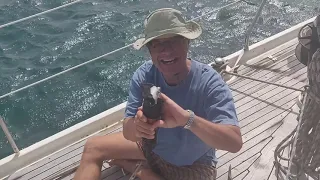 16. Pitou’s voyage Trouble in the tropics