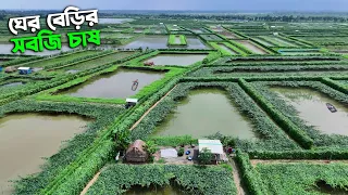 খুলনার ডুমুরিয়ায় ঘেরের বেড়িতে সবজি চাষ | Panorama Documentary