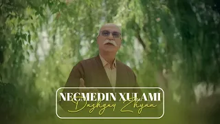 Najmadin Ghoulami Dazhgay Zhyan داژگەی ژیان 