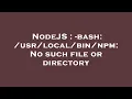 NodeJS - bash No such file or directory