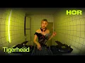 Lagu Tigerhead | HÖR - July 22 / 2025