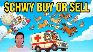 Should You Buy Chewy Stock Right Now CHWY Valuation