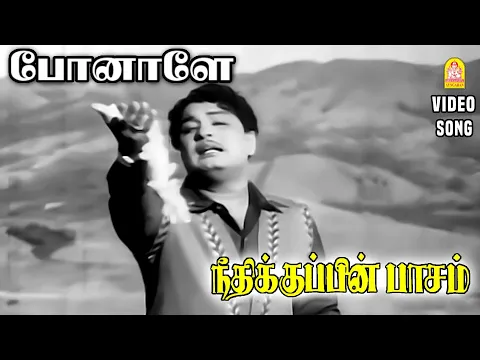 Ponaley - YouTube