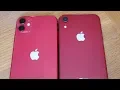 Iphone 11 vs Iphone XR Screen Size Comparison