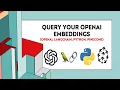 How To Query OpenAI Embeddings - OpenAI Langchain Python Pinecone