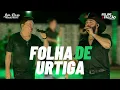 Lagu Felipe e Falcão - Folha de Urtiga (DVD Clássicos)