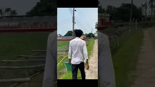      دندنها