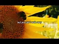 Download Lagu Love At Second Sight  - David Foster and Vikki Moss / Lyrics