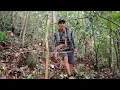 Download Lagu #vlog cara‼️sederhana mikat burung  kapas tembak.tapi pasti
