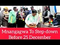 Mnangagwa to step-down before 25 December 