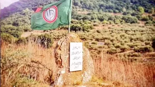 الراية الخضراء   المنشد حسن علامة دندنها