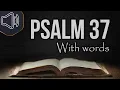 Download Lagu Psalm chapter 37 King James Version (KJV) Audio Bible reading | Do not fret because of evildoers