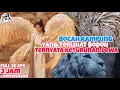 Download Lagu DIUSIR DARI DESANYA !! BOCAH KAMPUNG INI TERNYATA MEMPUNYAI KEKUATAN DEWA YANG OVER POWER !!