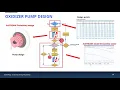 Automated Liquid Rocket Engine Turbopump Design with AxSTREAM ION