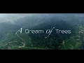 Lagu A Dream of Trees