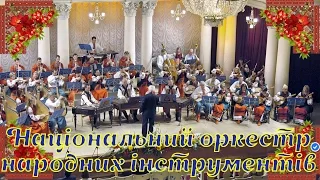 Стоїть гора високая М Лисенко Національний оркестр народних інструментів України 