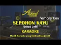 Download Lagu Sepohon Kayu Karaoke | Female | Nada Wanita