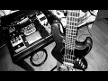 Bass play sur le titre :  Dumpalltheguns